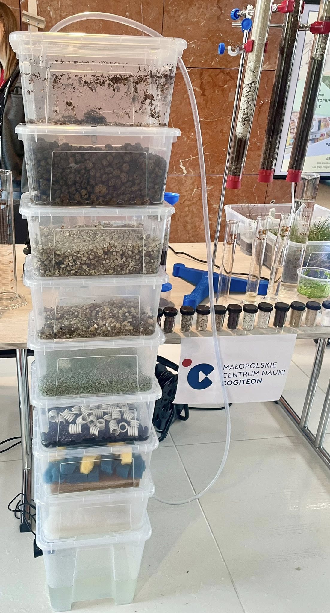 Oddziały klasy integracyjne Lubycza królewska Dubienka