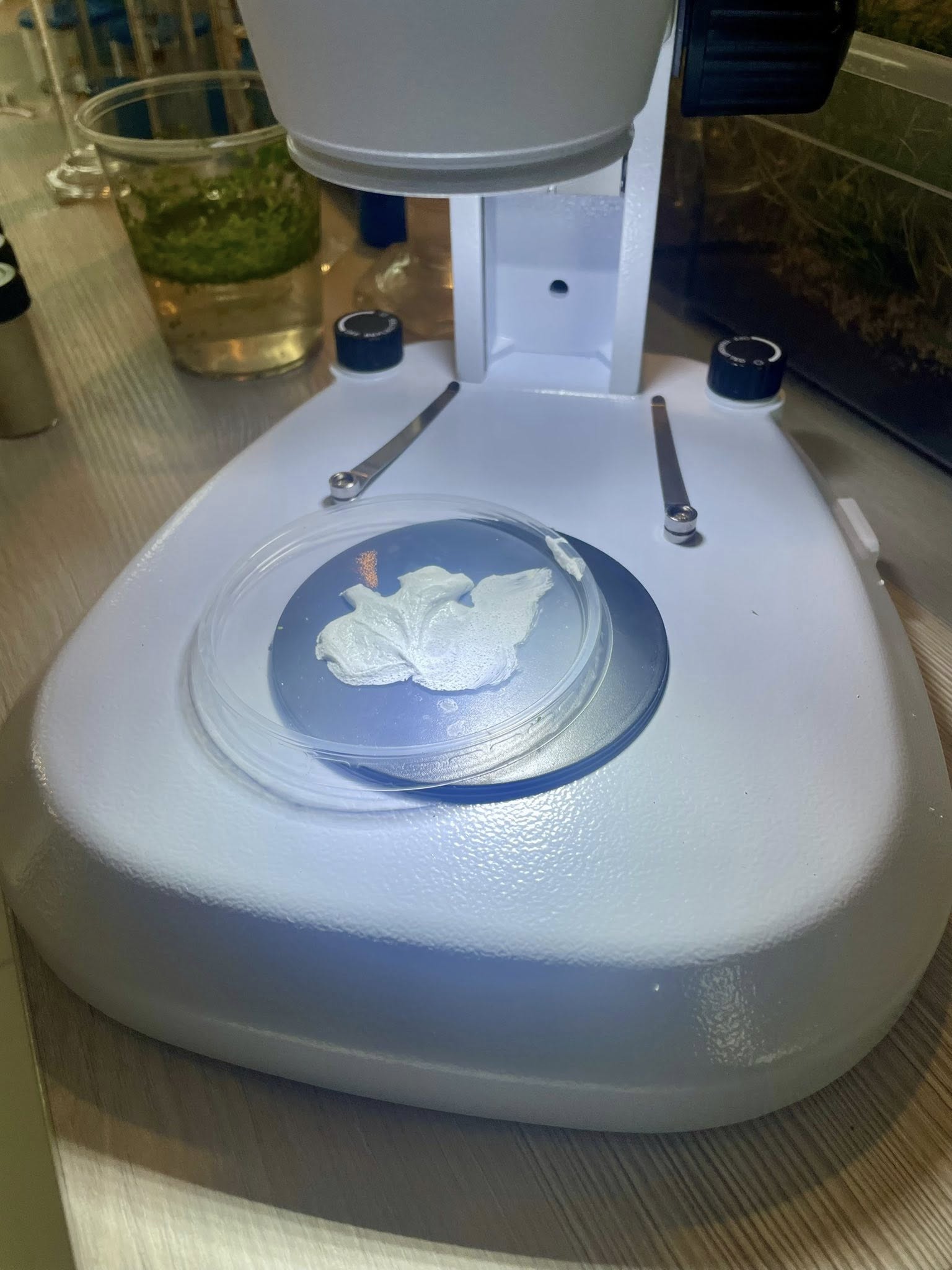 Szkoła sportowa nauczanie domowe Zamość Krasnystaw