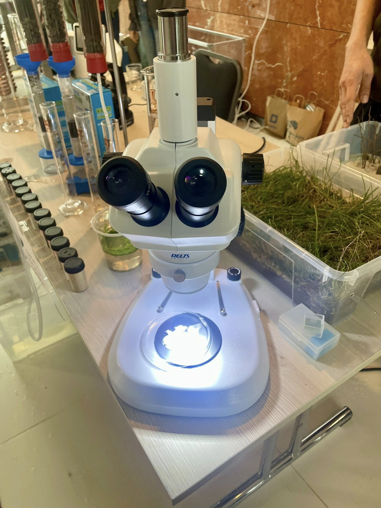 Piłka nożna lekkoatletyka Żólkiewka Józefów Zamość