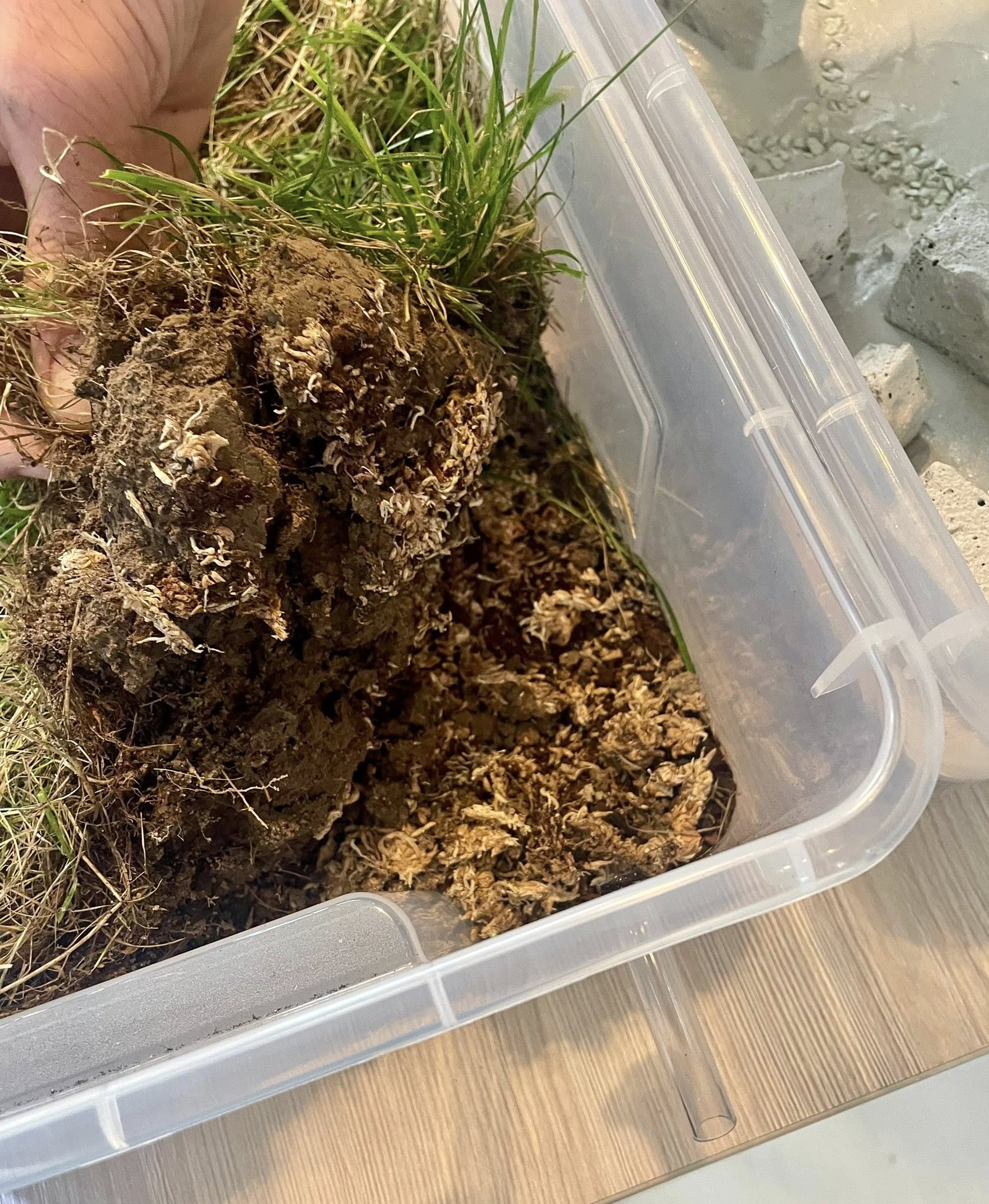 Liceum dla niepełnosprawnych Lubaczów Zwierzyniec