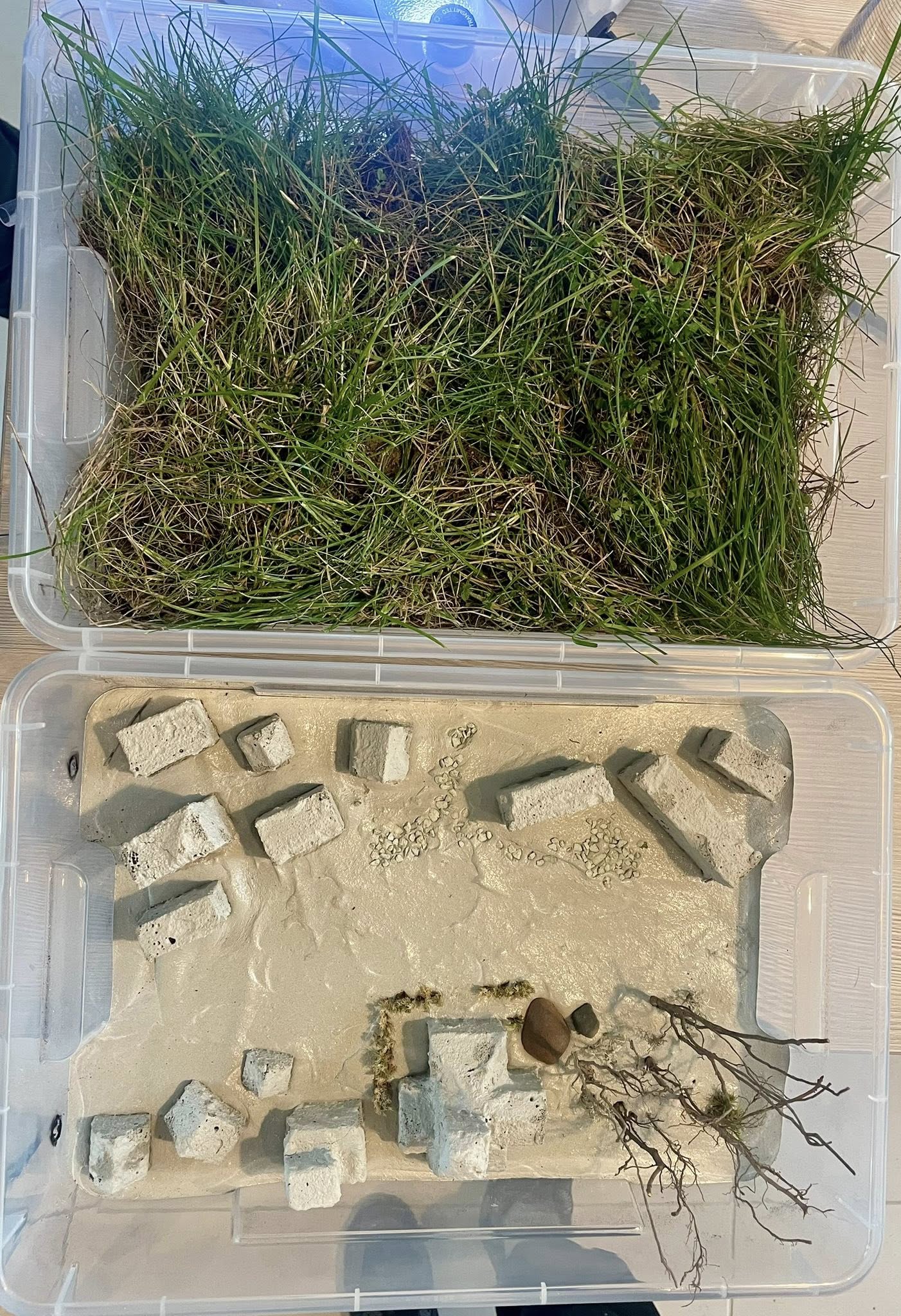 Szkoła dla niepełnosprawnych Tyszowce Krasnobród