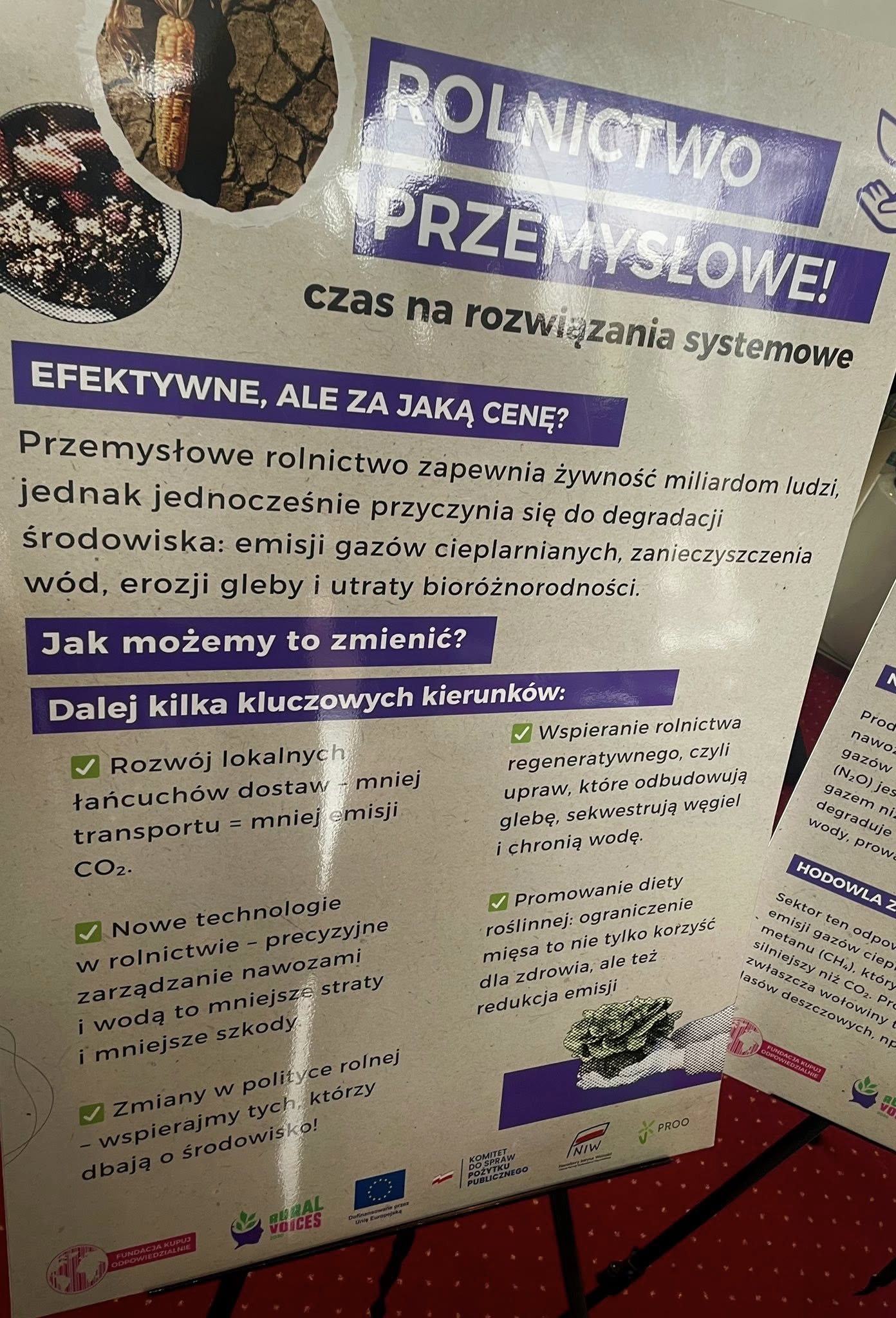 Piłka nożna lekkoatletyka Żólkiewka Józefów Zamość