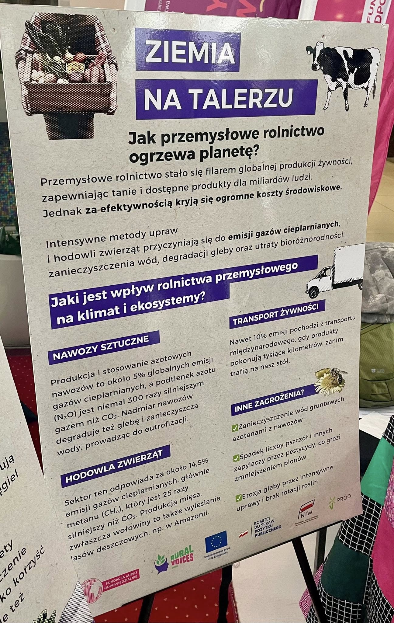 Szkoła sportowa nauczanie domowe Zamość Krasnystaw
